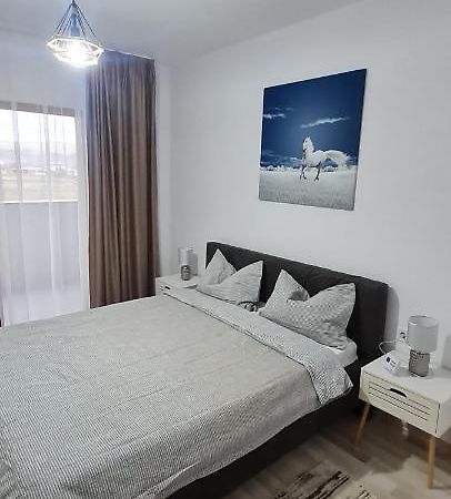 La Andrei Apartment Bistrita  Ngoại thất bức ảnh
